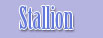 Stallion